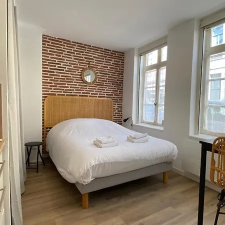 Nestor - Studio Renove Vieux Lille Esplanade - Extérieur photo