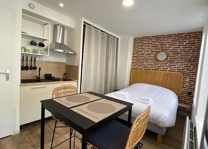 Nestor - Studio Renove Vieux Lille Esplanade -